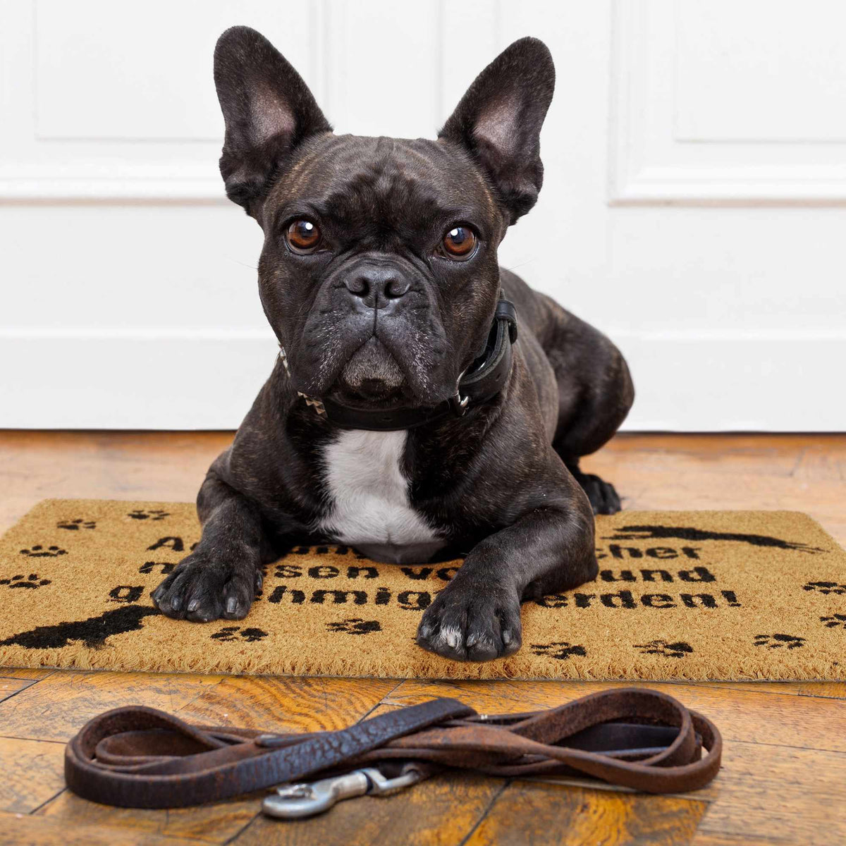 Doormat Coconut Dog