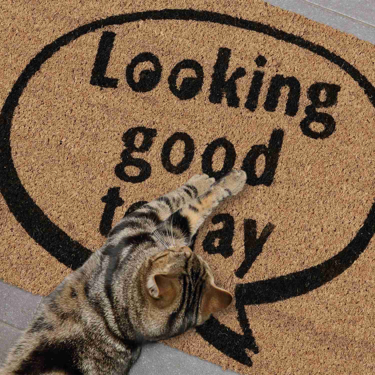 Doormat Coconut "Looking good today