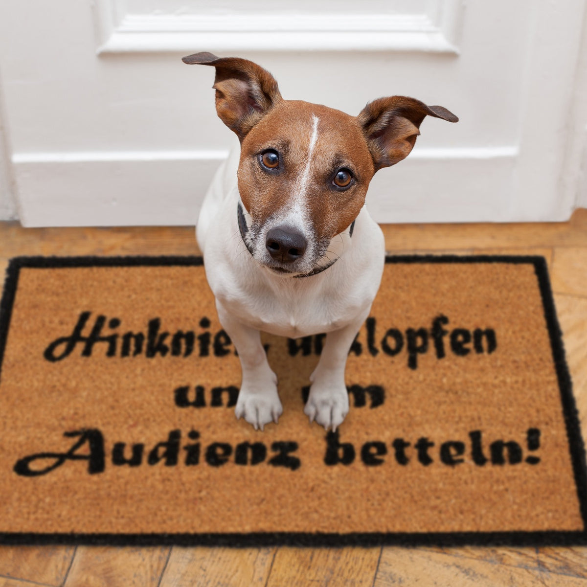 Door mat Kokos AUDIENCE
