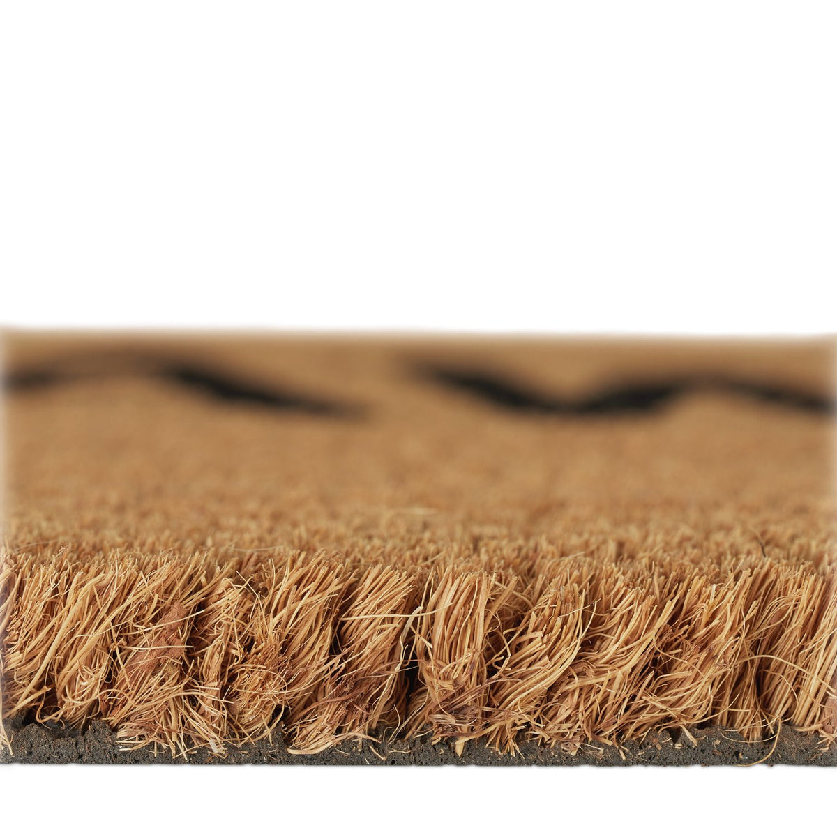 Doormat coconut fiber "Go away"
