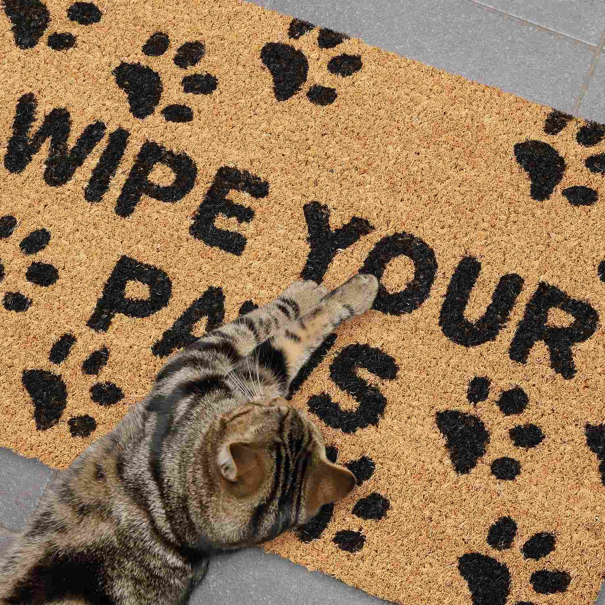Door mat coconut fiber Wipe Your Paws