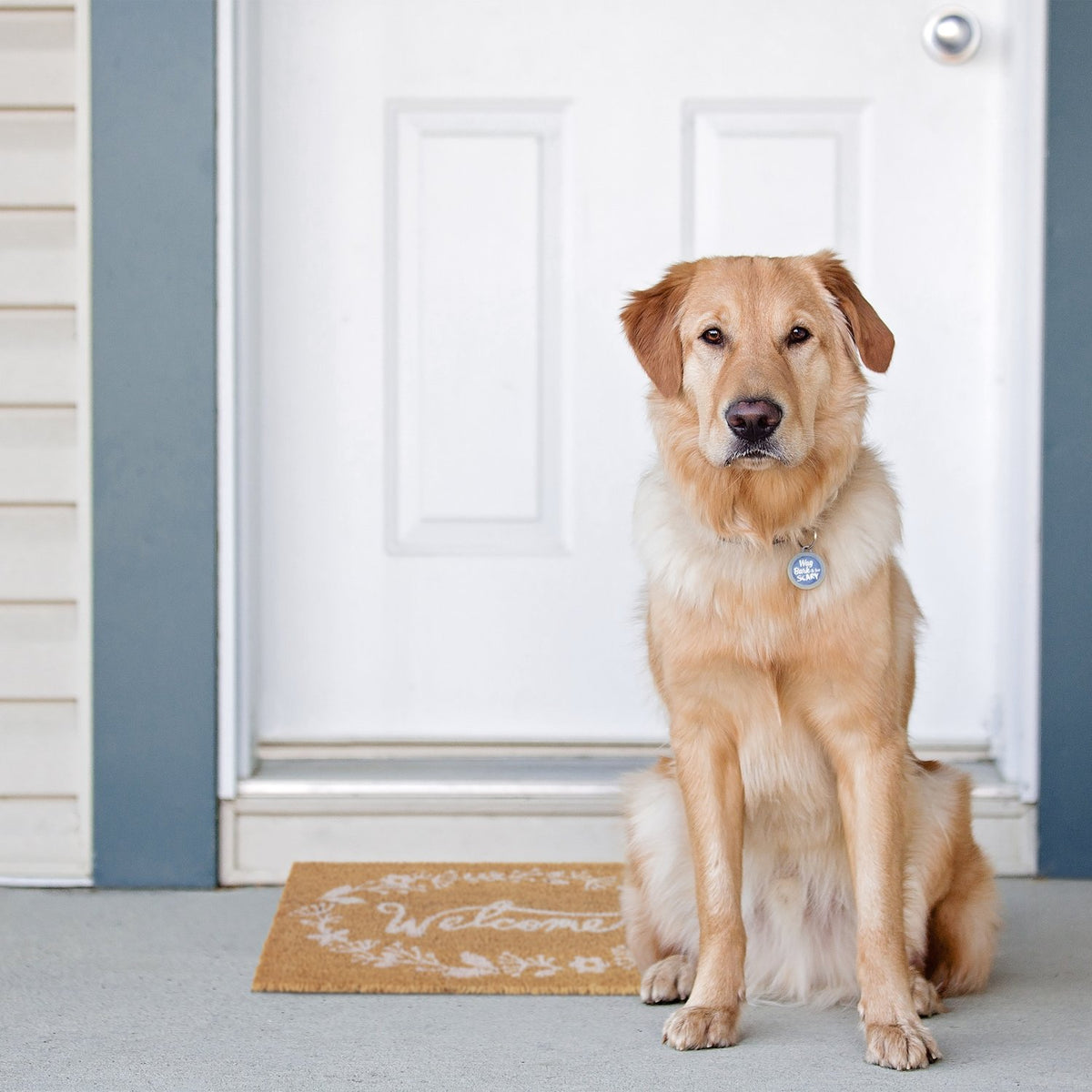 Door mat in coconut "Welcome".