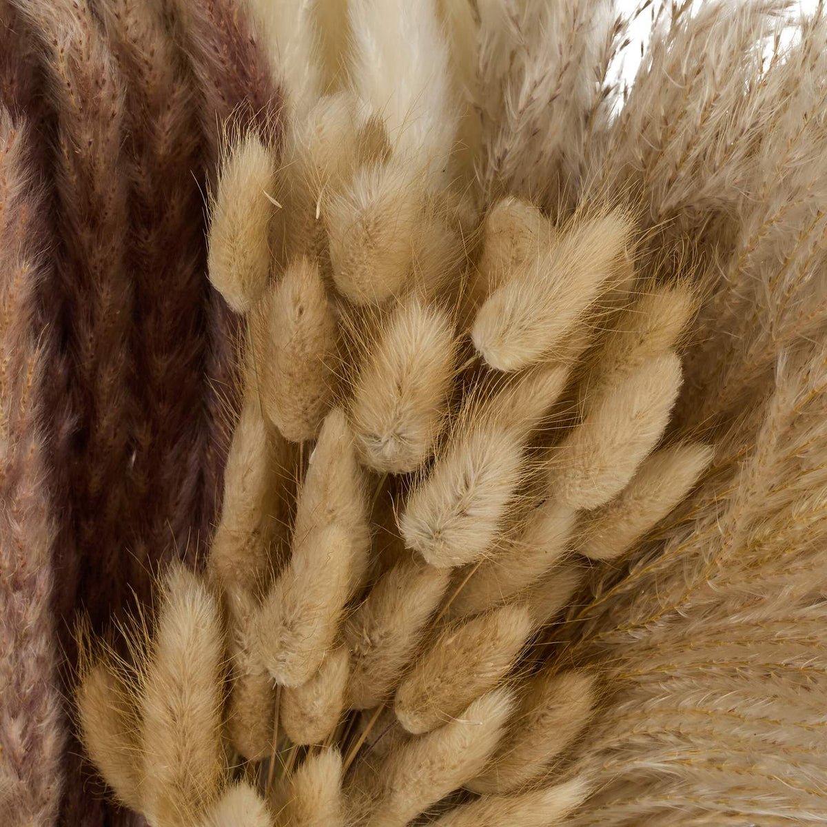 Dried Pampas Grass Set, 144 Pieces – Boho Decor