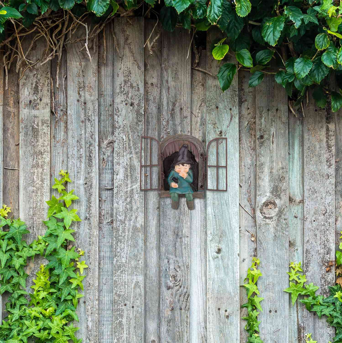 Dwarf with window