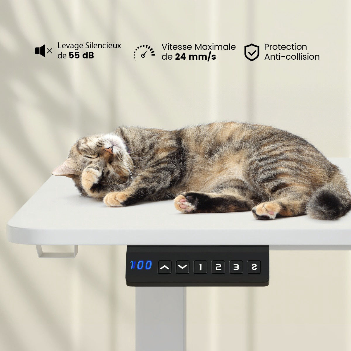 Electric Standing Desk 140 x 60 cm, Height Adjustable, White