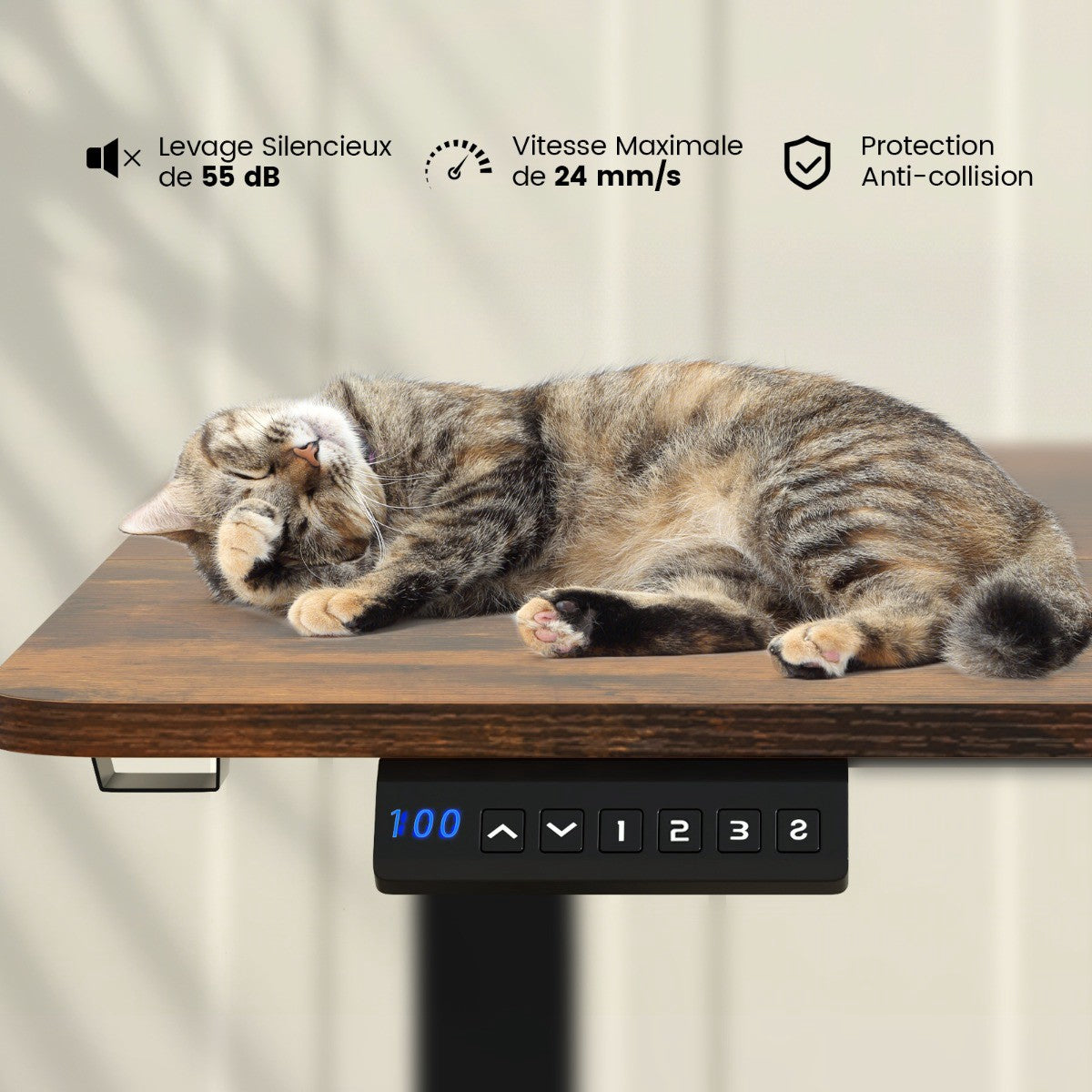Electric Standing Desk 140 x 60 cm, Memory Presets