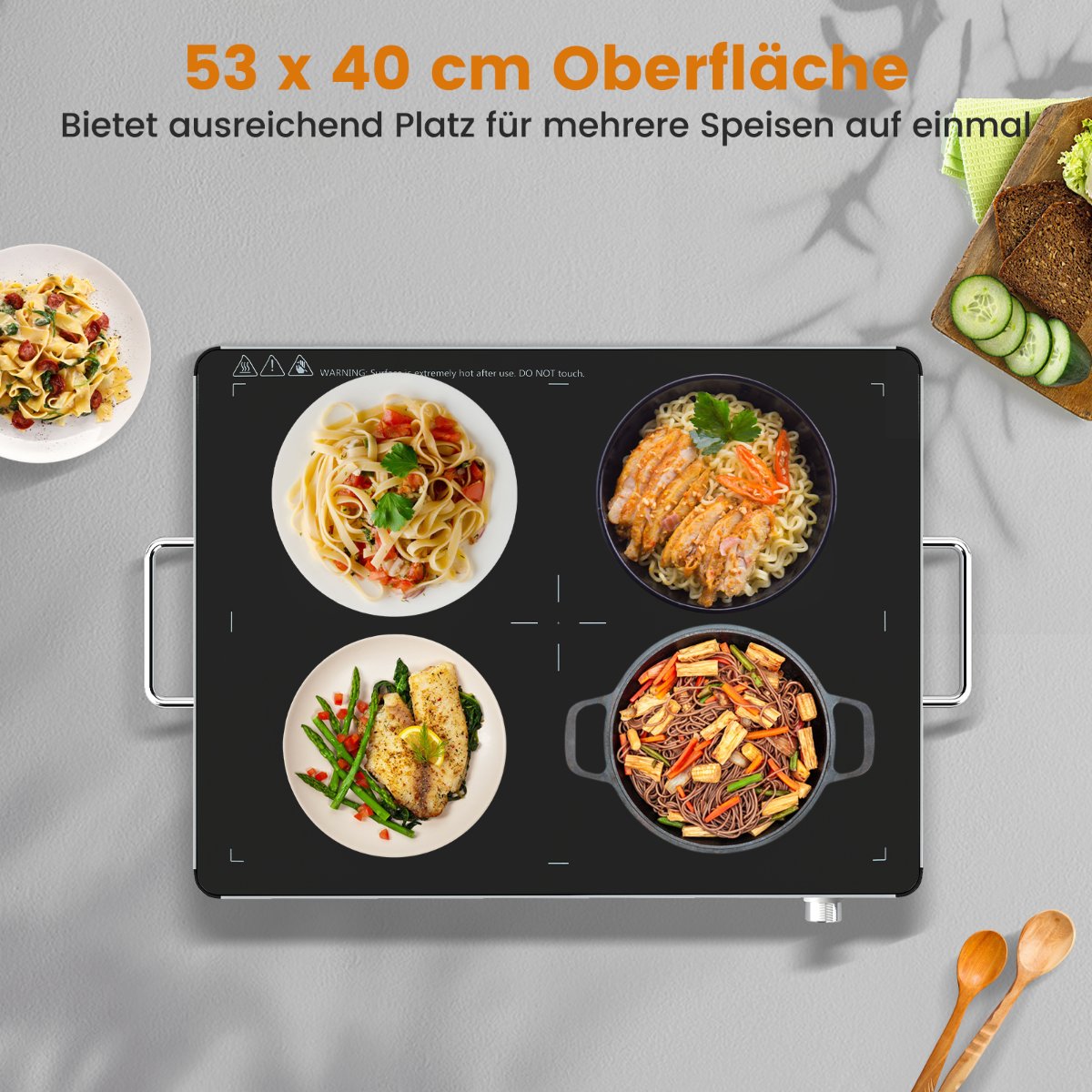 Electric Warming Tray, Adjustable Temp, 53x40 cm
