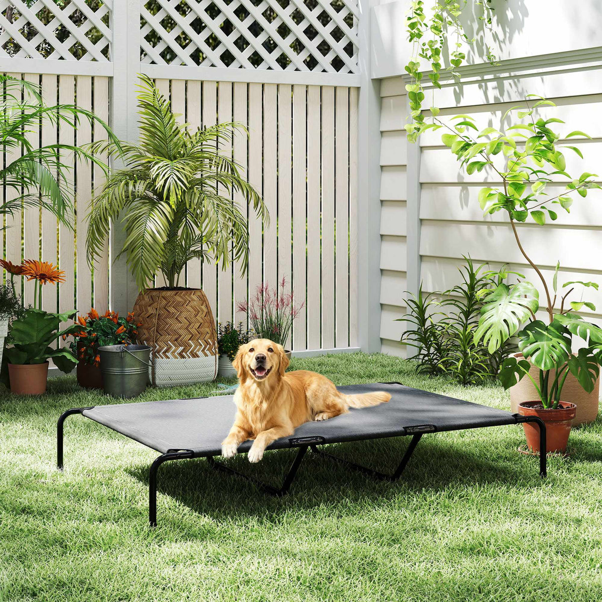 Elevated Outdoor Dog Bed, Large, Breathable Mesh, 23cm High