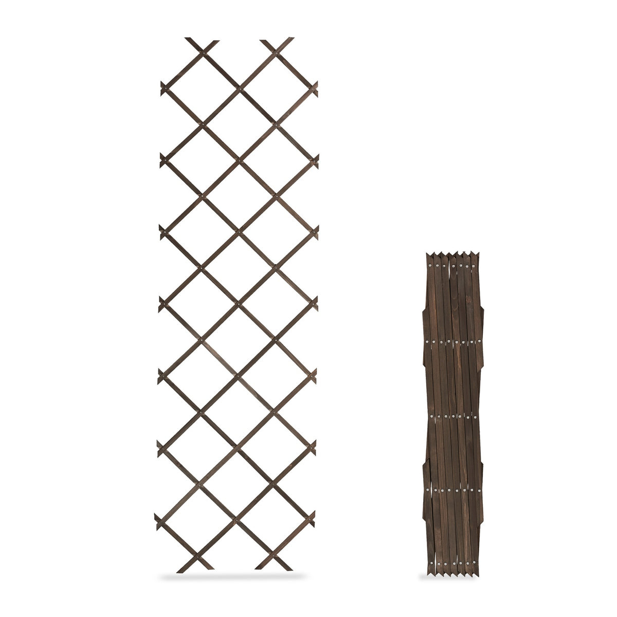 Extendable Plant Trellis Set, 3 Pack, 180x60 cm