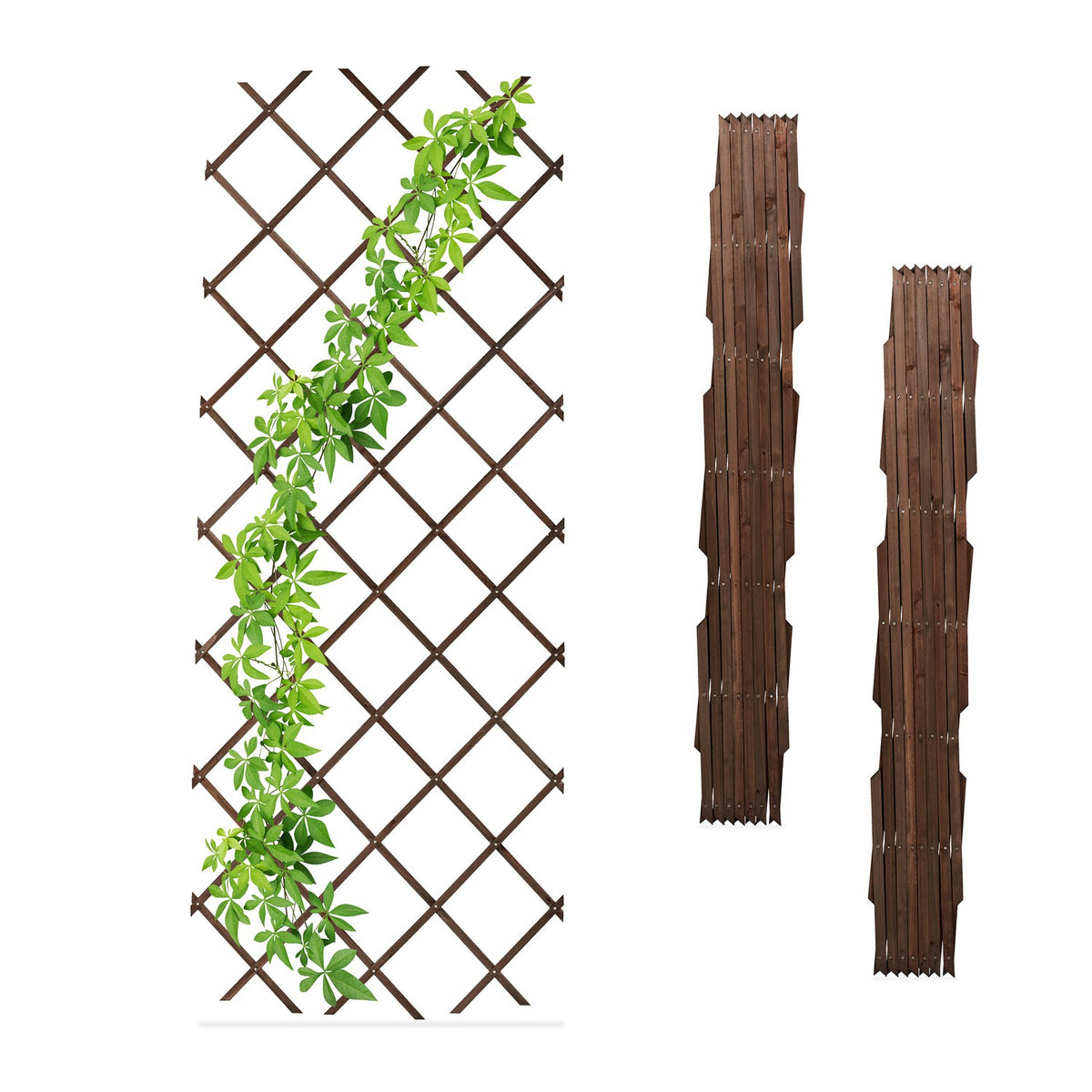 Extendable Wooden Plant Trellises Set, 180x90 cm