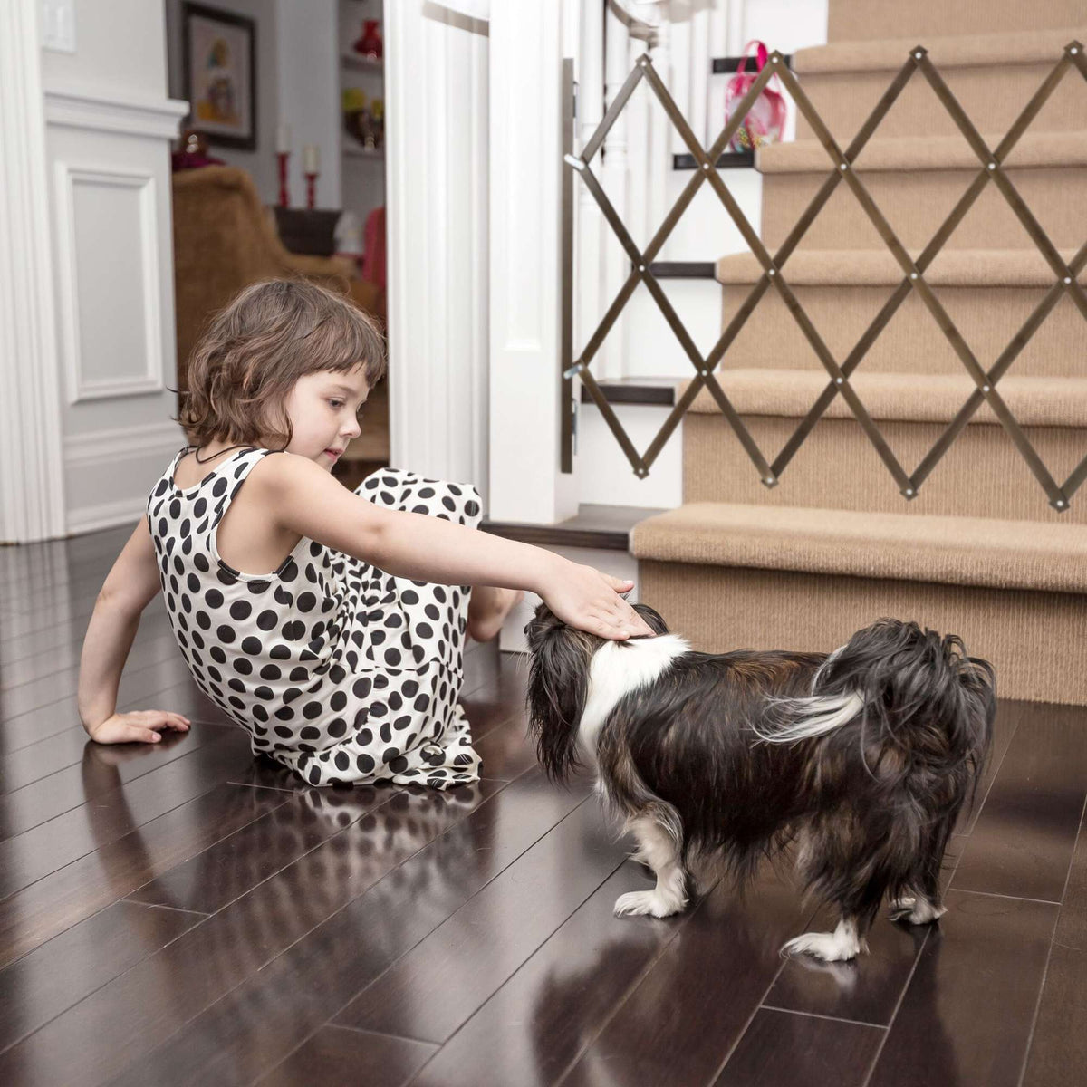 Extendable dog guard in brown