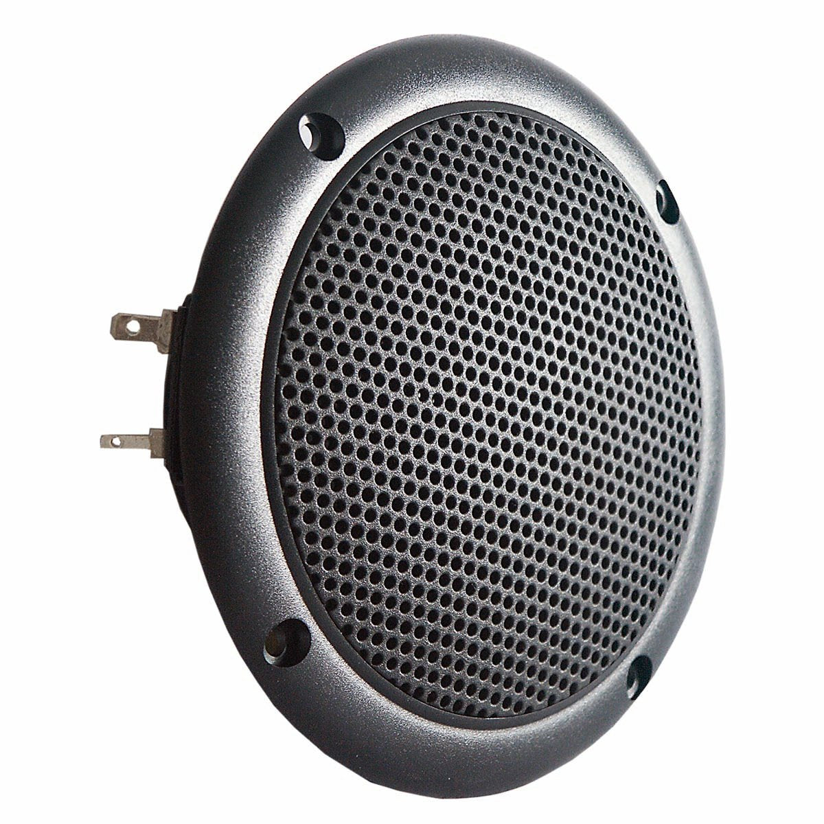 FR 10 WP - 4 Ohm (Black) - Salt water resistant 10 cm (4") full-range driver
