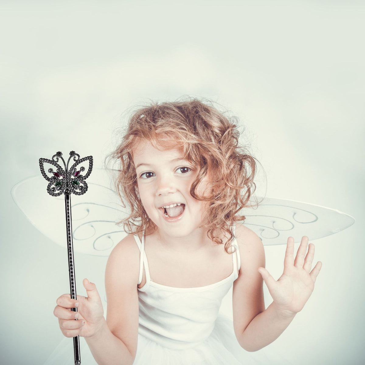 Fairy wings with wand
