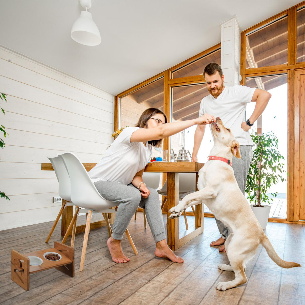 Feeding station for dogs adjustable in height