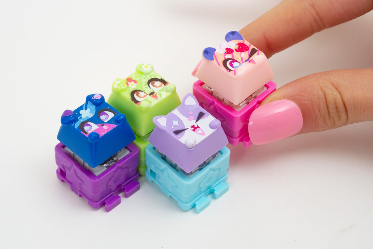 Fidget Keychain Twin Pack, Click & Regular