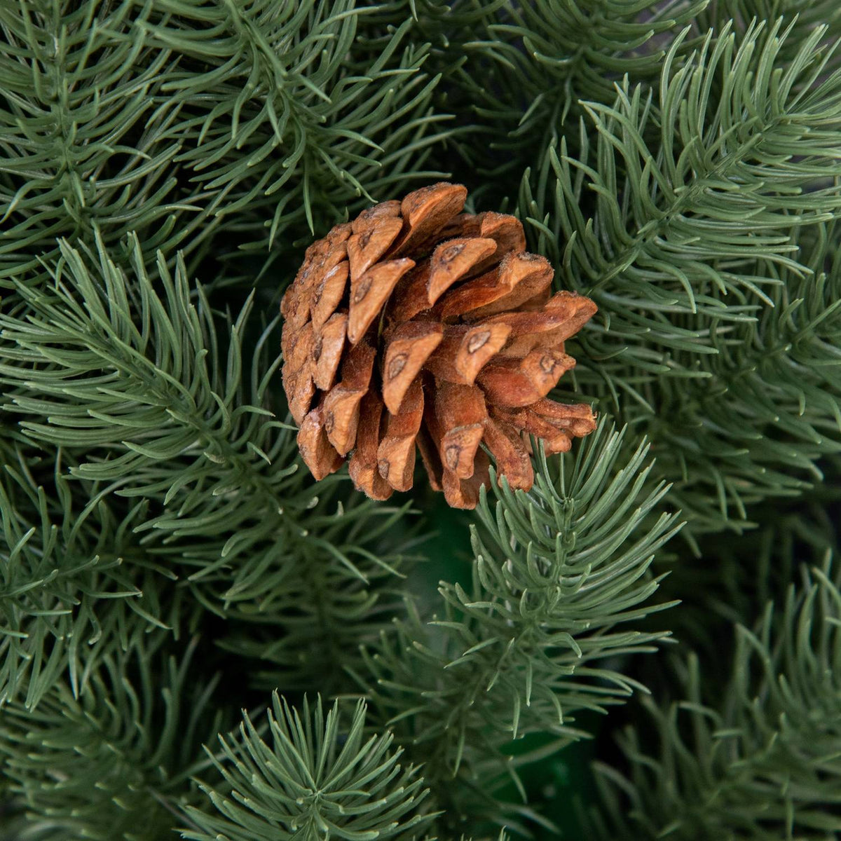 Fir Wreath, Door Wreath, Christmas Wreath, Back With Hanging Eyelet, Pe Green, Diameter 60 X 8 Cm