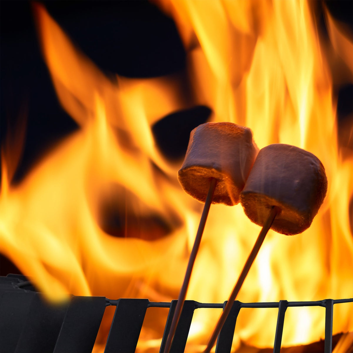 Fire basket with fire fork