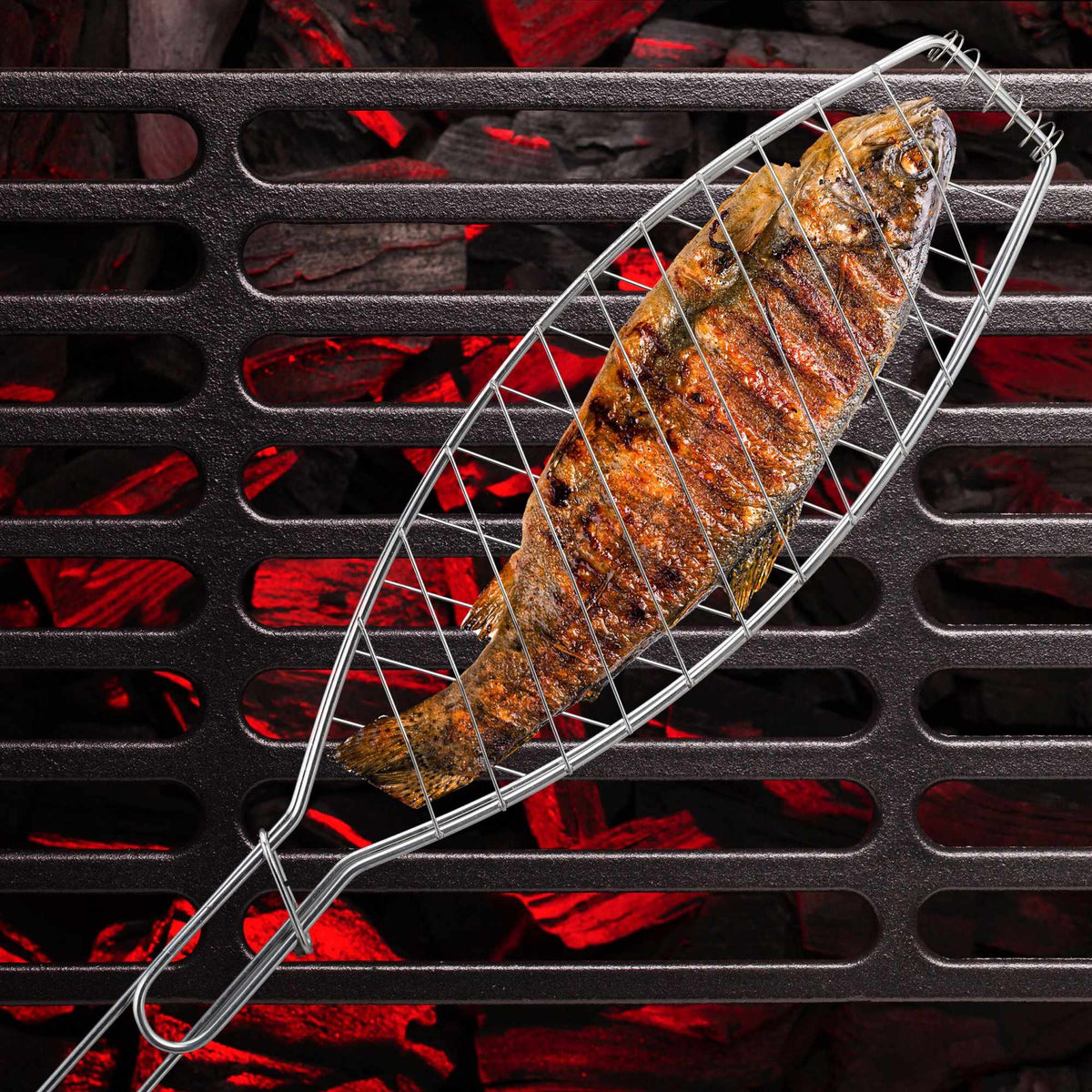 Fish roaster grill set of 6