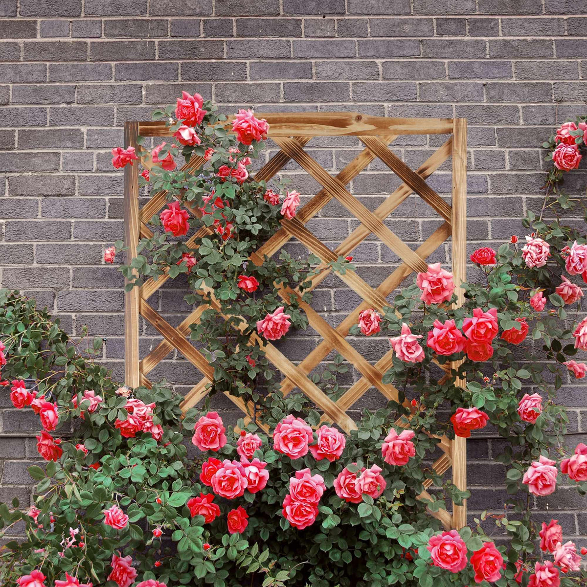 Flamed Planter Box with Trellis