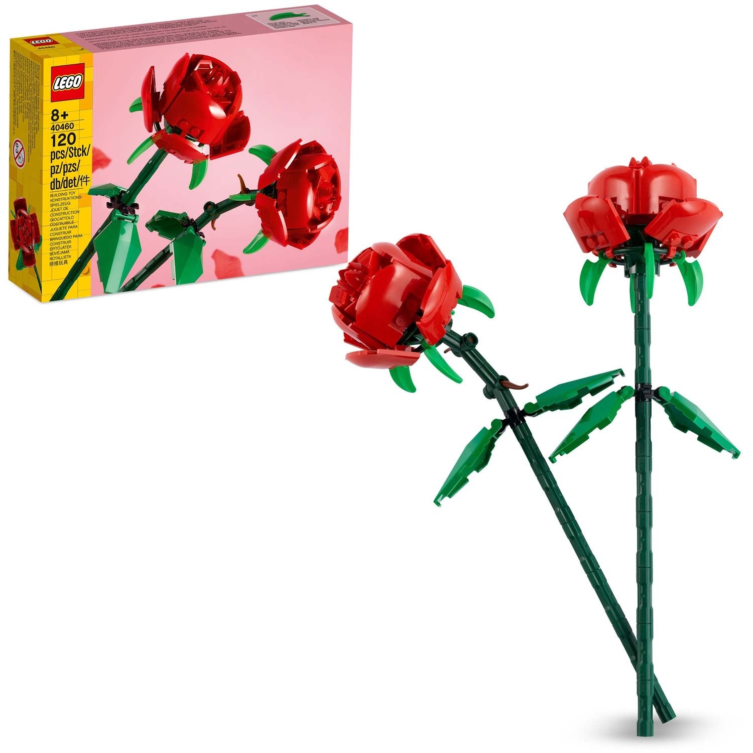Flowers - Roses 40460