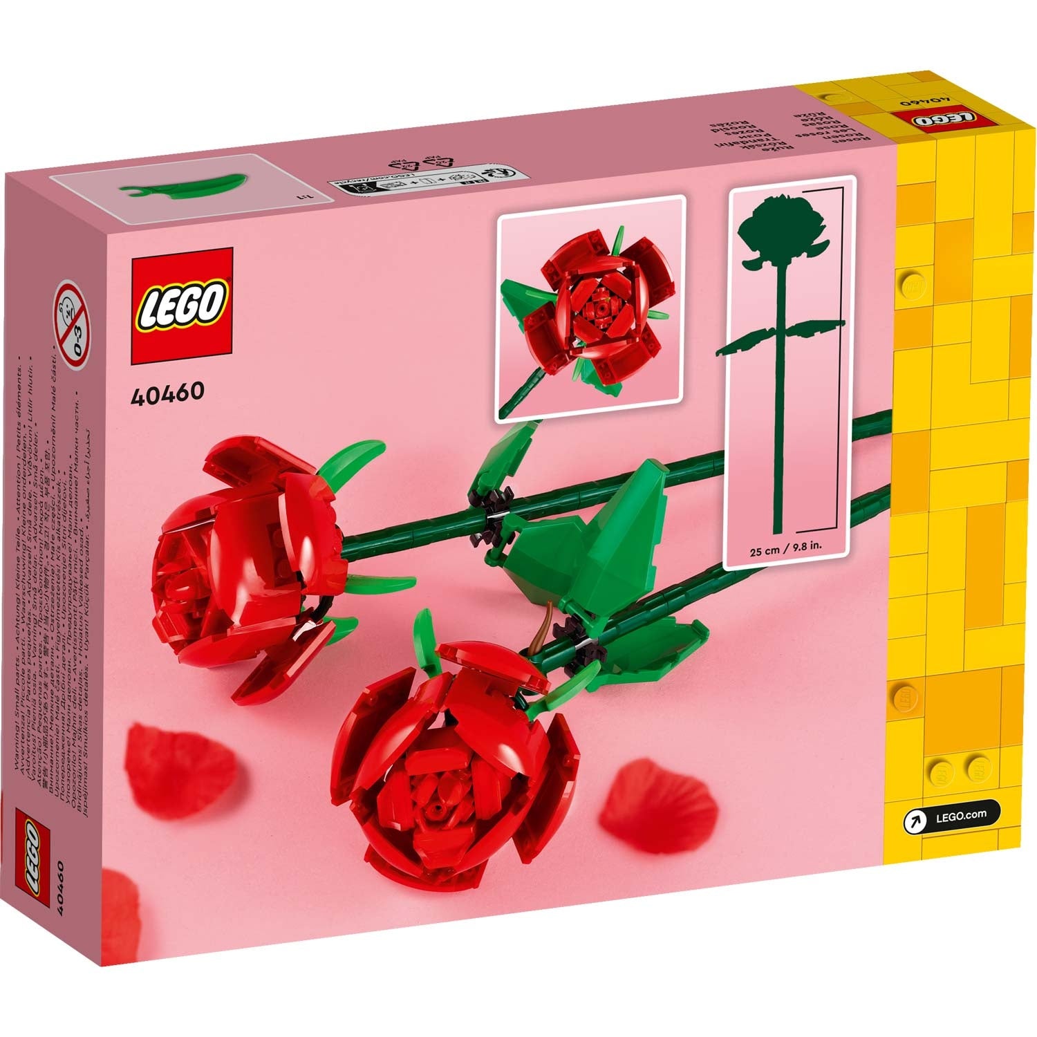 Flowers - Roses 40460