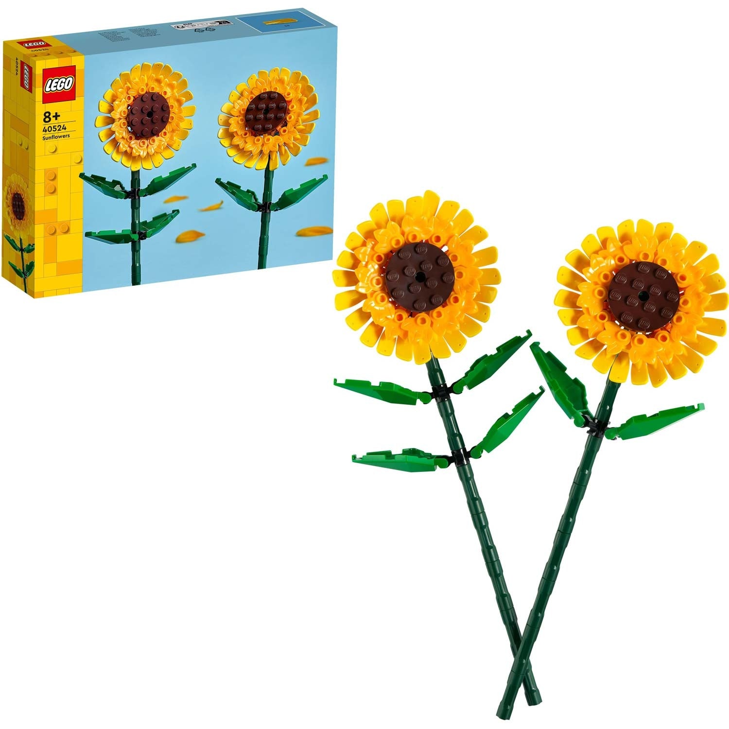 Flowers - Sunflowers 40524