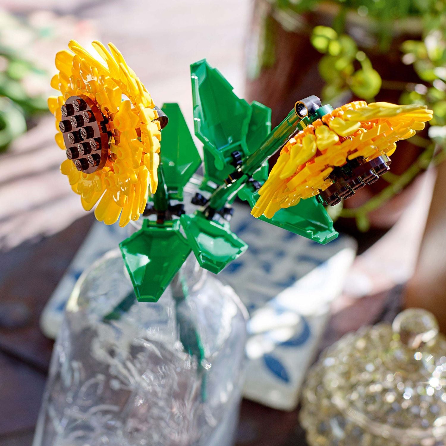 Flowers - Sunflowers 40524