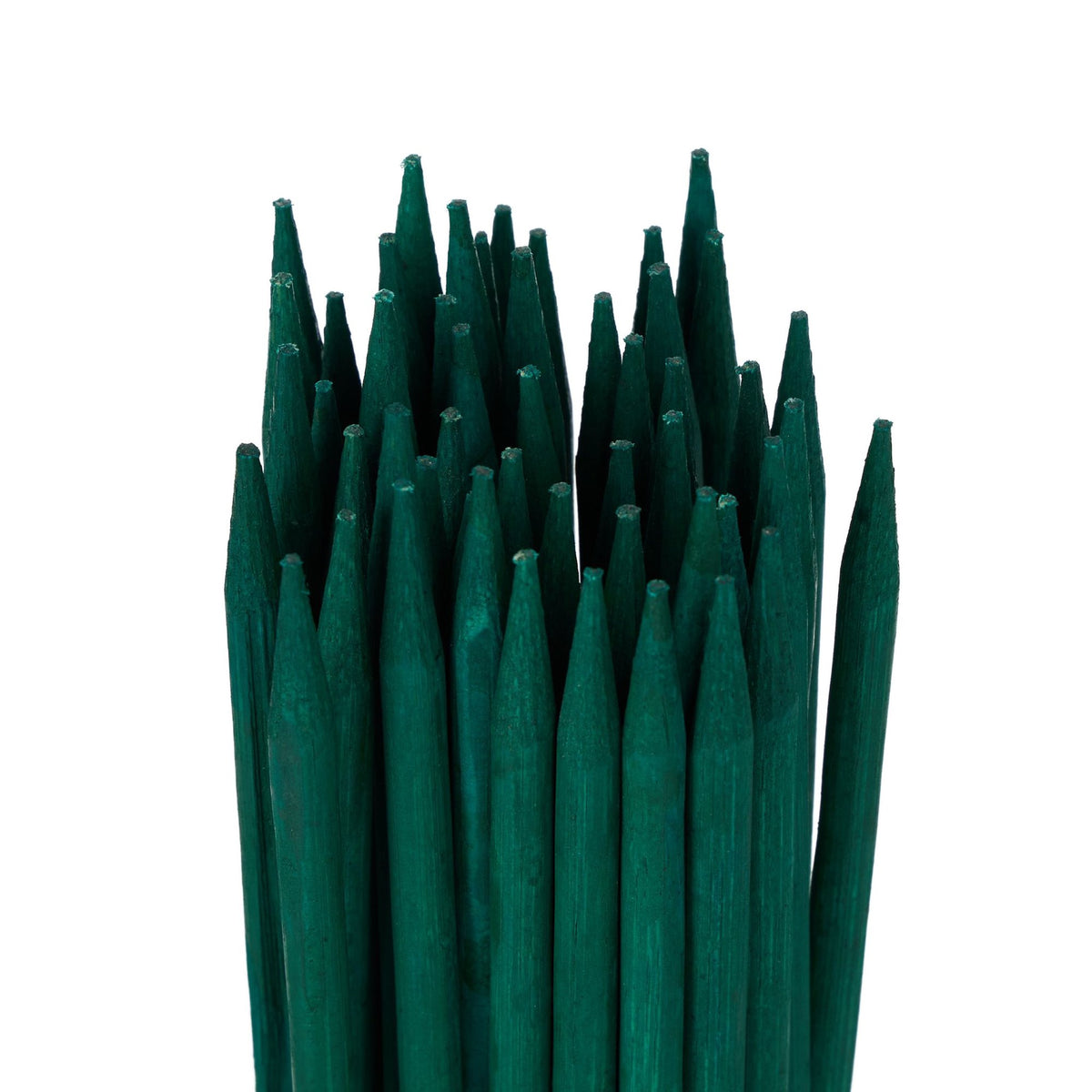 Flower sticks 30 cm in a set of 50