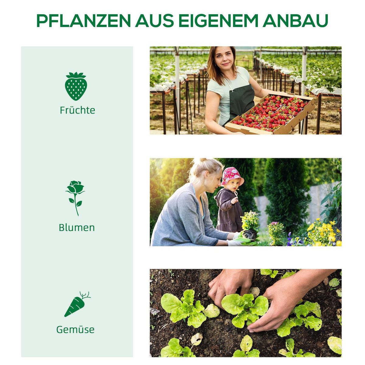 Foil Greenhouse With Window Greenhouse Tomato House Cold Frame 180 X 90 X 70 Cm Green