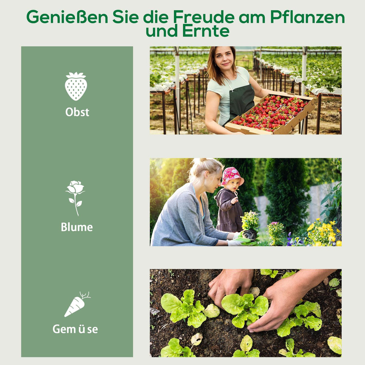 Foil greenhouse with roller, greenhouse with 4 shelves, foil greenhouse with steel frame, for garden, balcony 69 x 50 x 165 cm, green