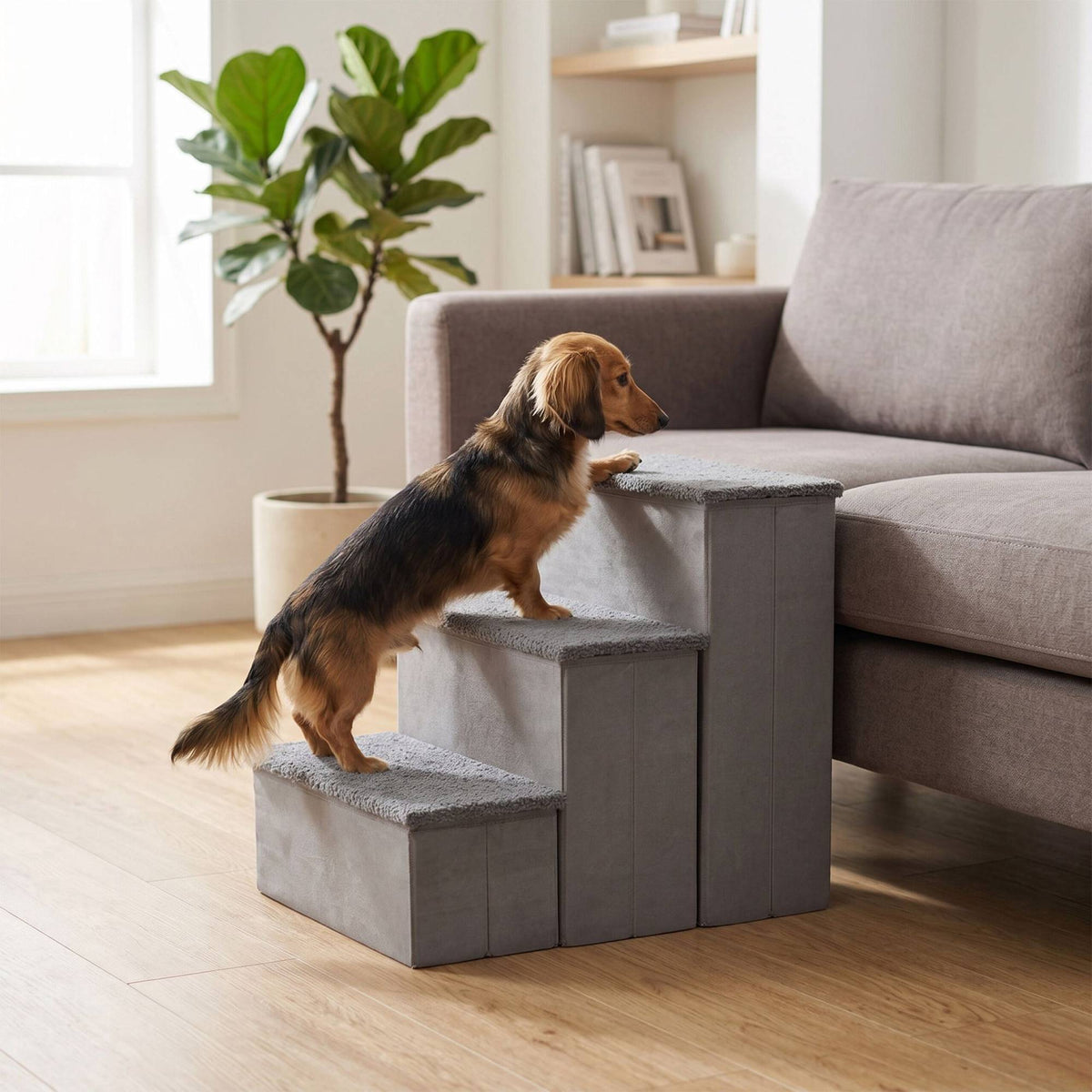 Foldable Dog Steps with Storage, Medium, Grey