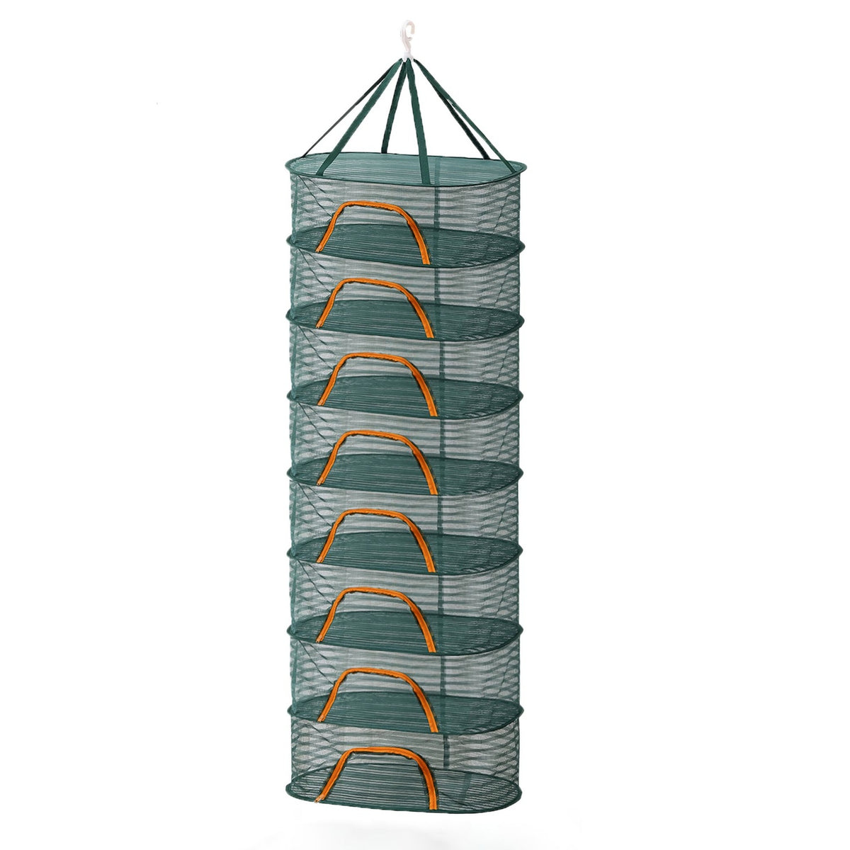 Foldable Oval Drying Net for Herbs, Fruits, and More