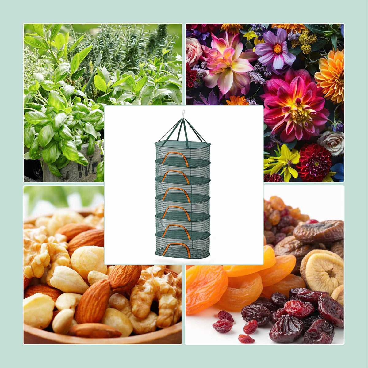 Foldable Oval Drying Net for Herbs, Fruits, and More