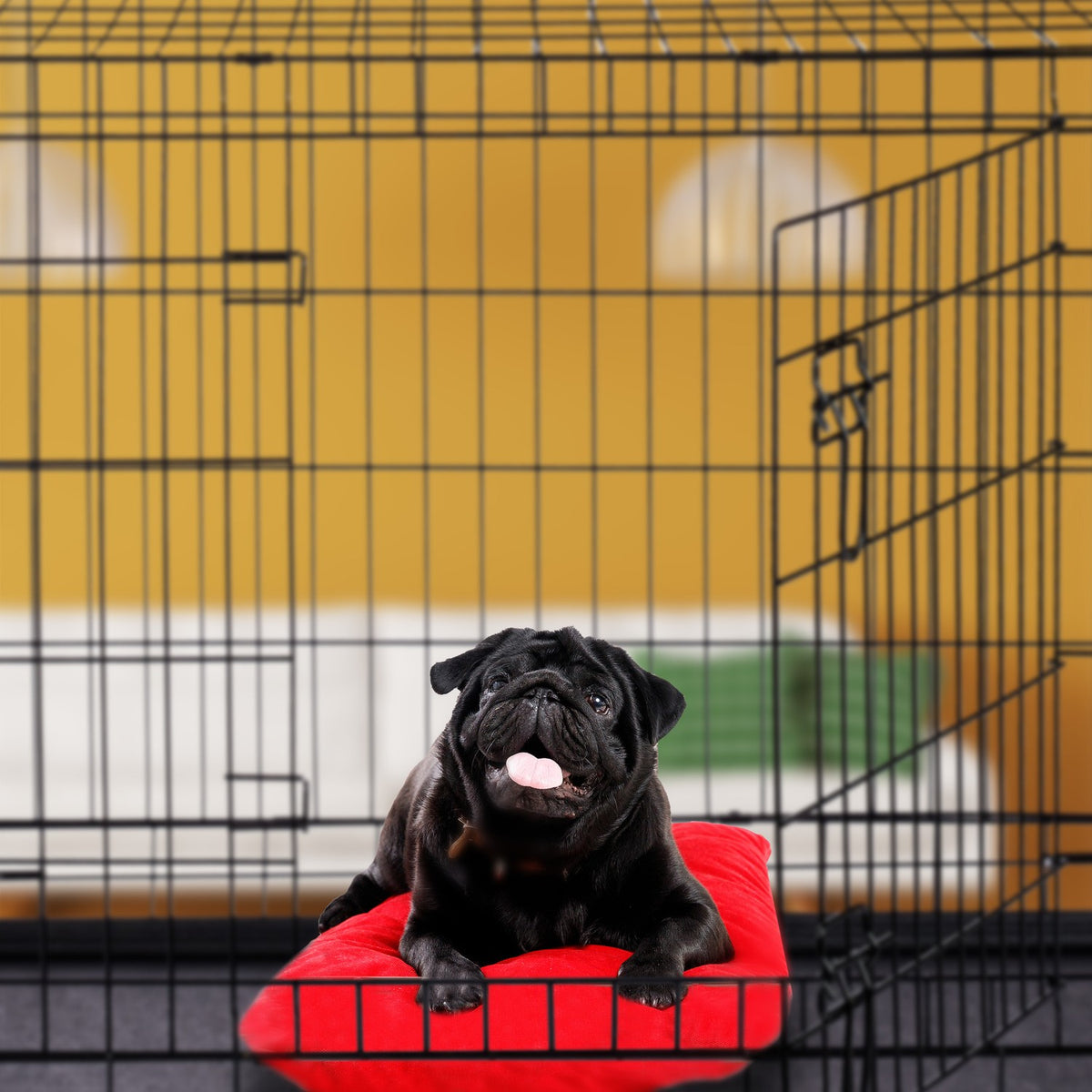 Foldable dog cage size S-XXL