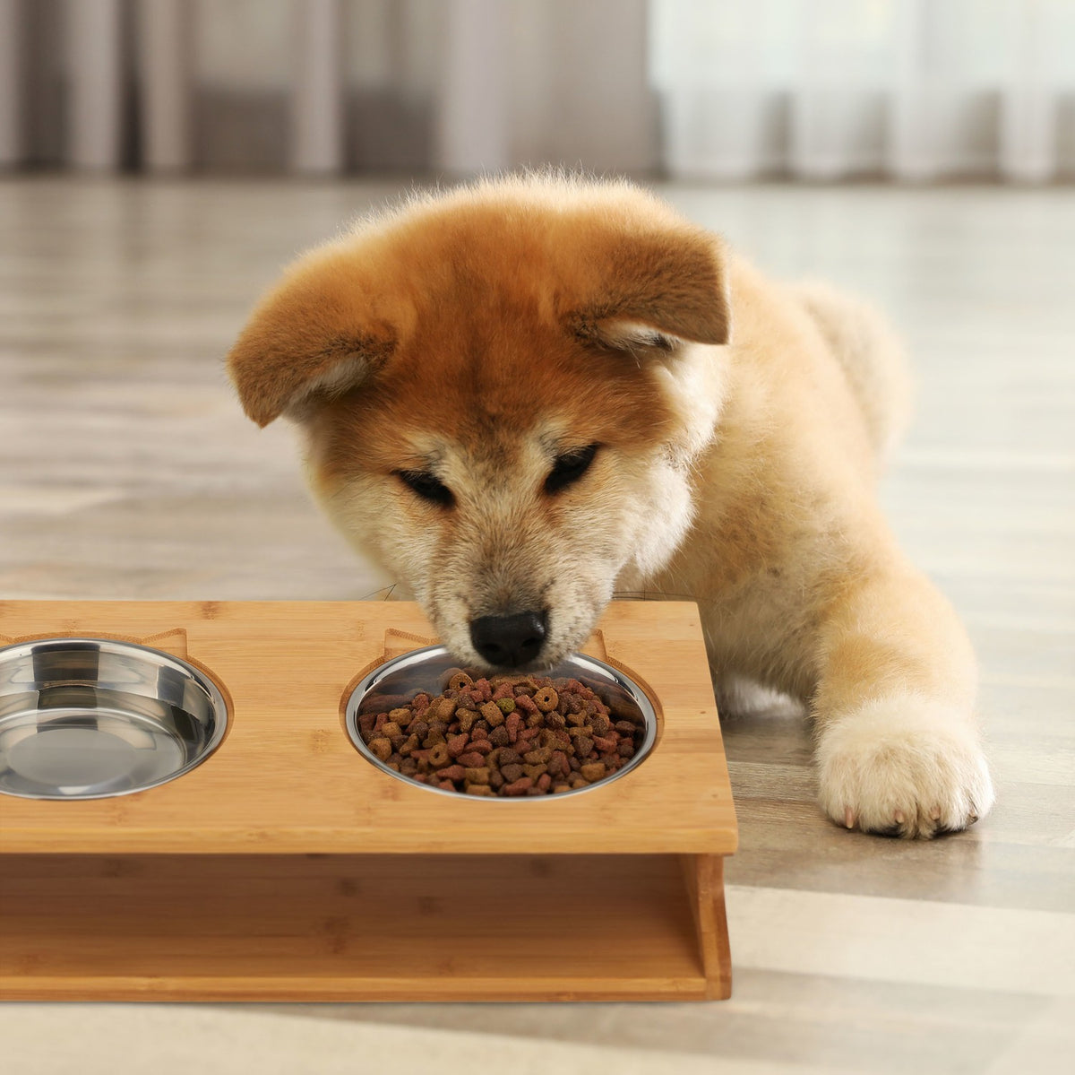 Food bowls for cats