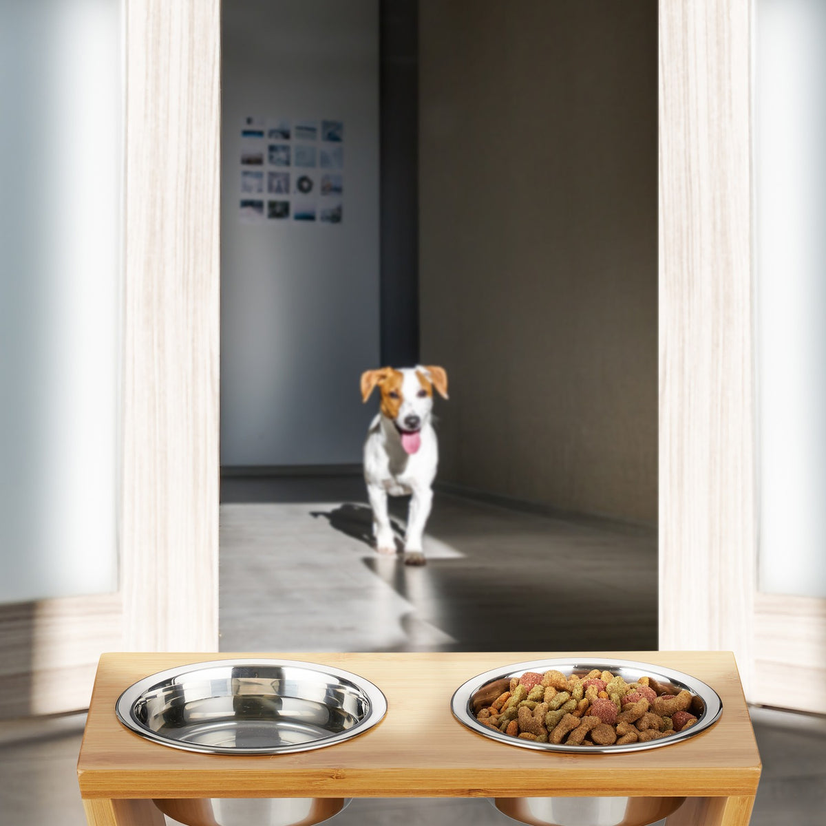 Food bowls for dogs