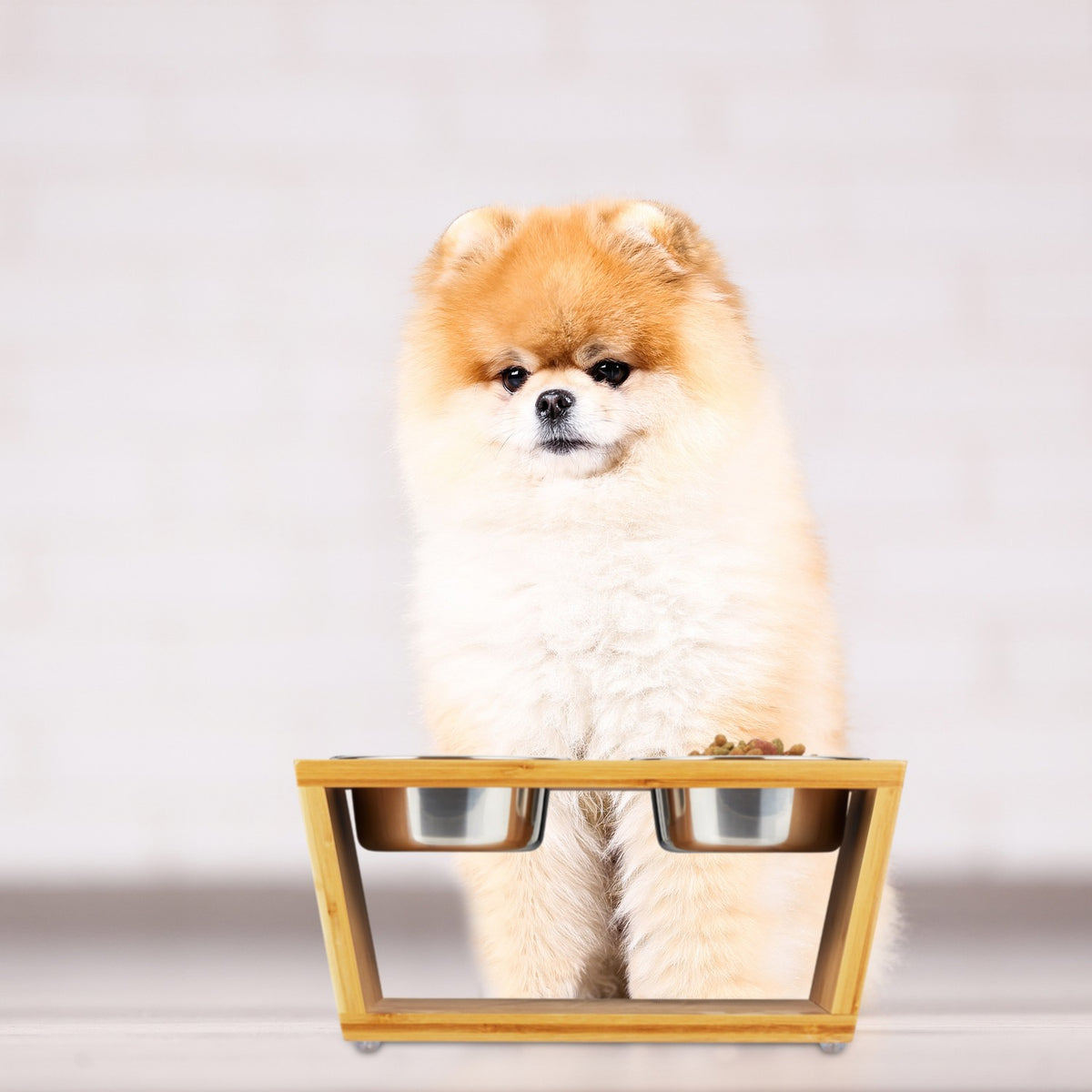 Food bowls for dogs