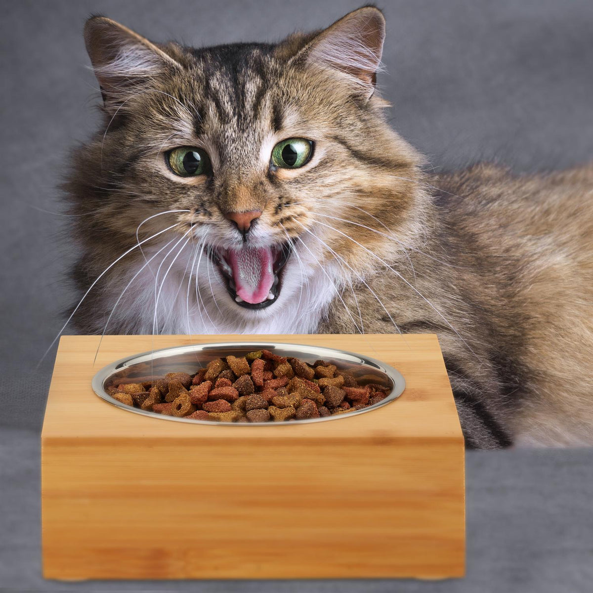 Food bowls in different designs