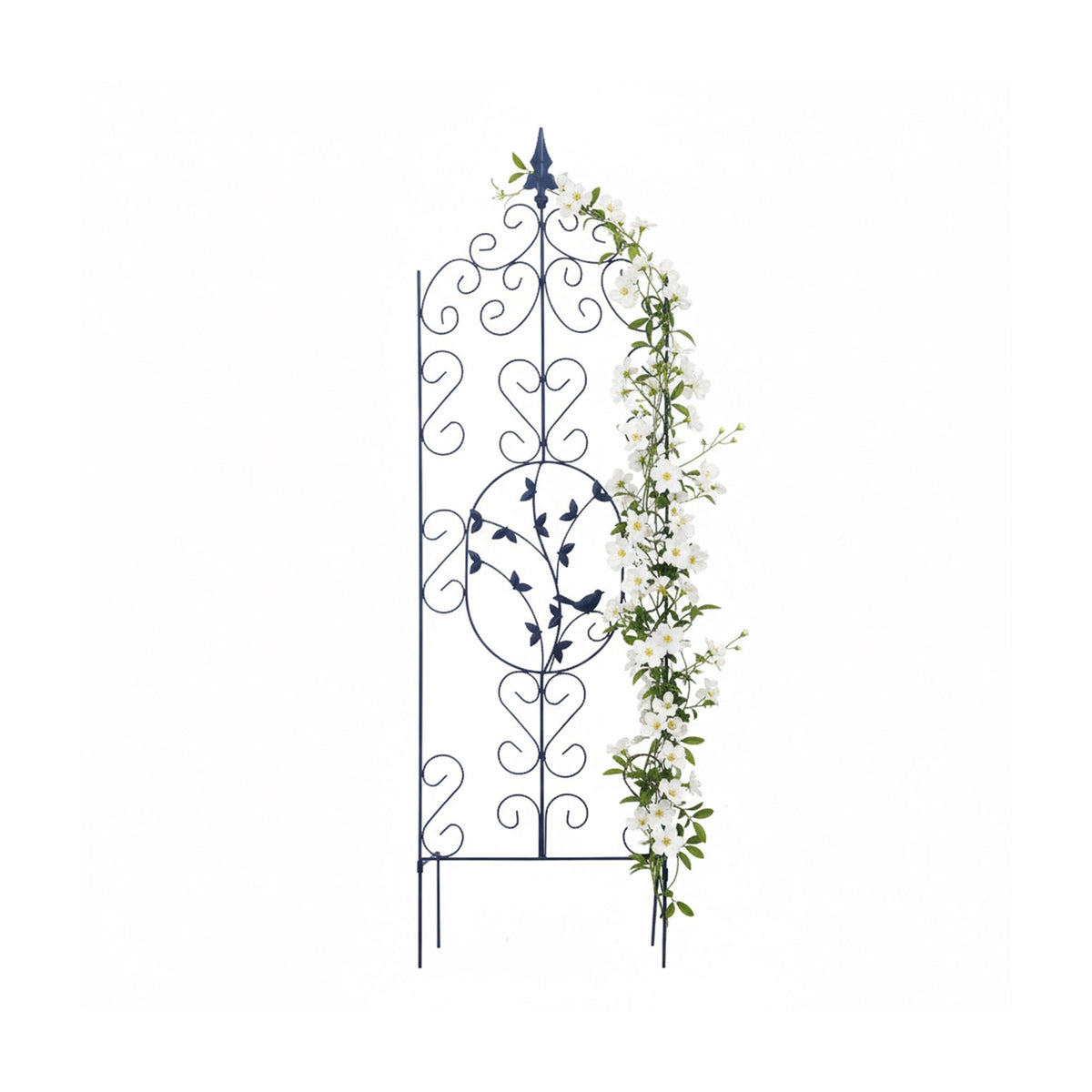 Free-Standing Metal Trellis for Climbing Plants