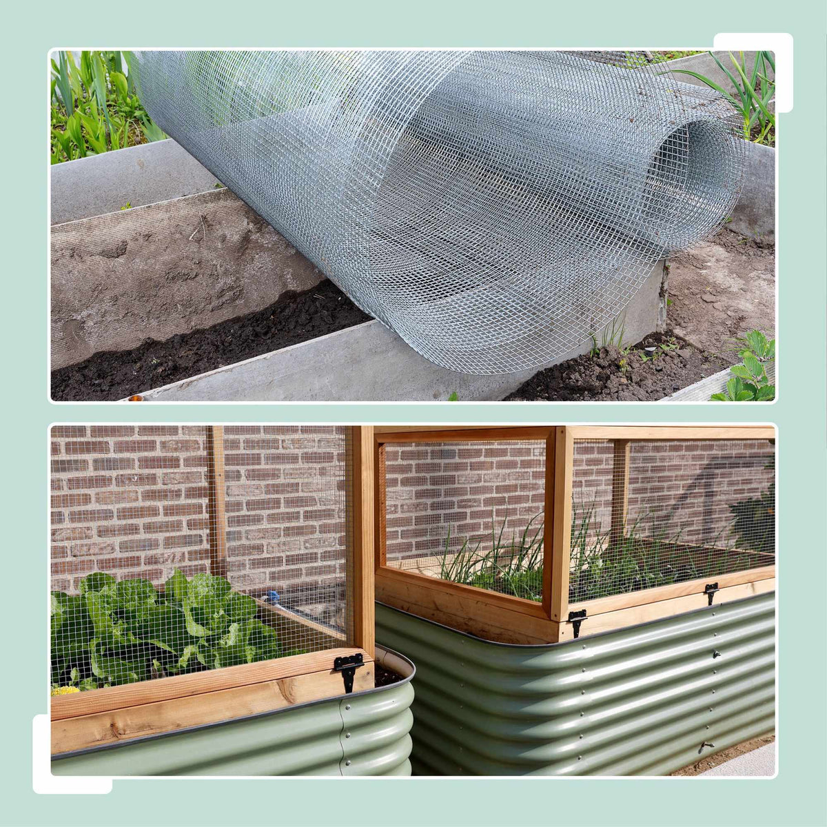 Galvanised Steel Aviary Mesh, 6.3mm, Weather-Resistant