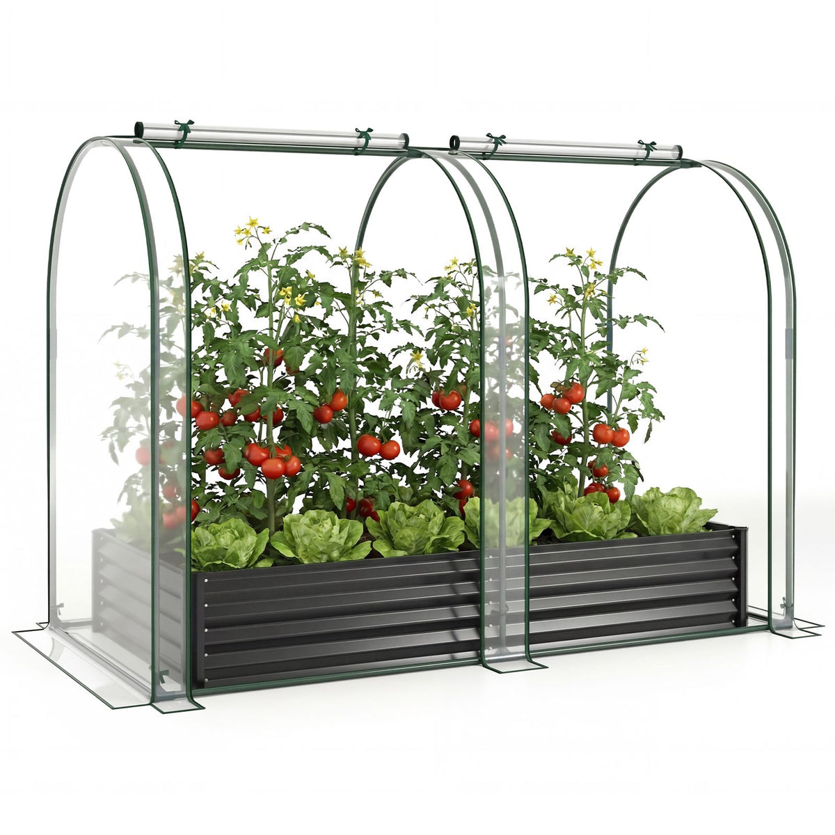 Galvanized Raised Garden Bed 6x3x1 Ft With Greenhouse Cover