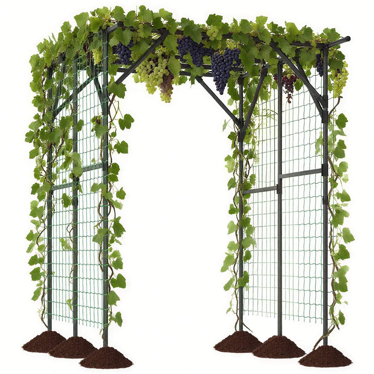 Garden Arch Trellis for Climbing Plants, 200x150x197 cm