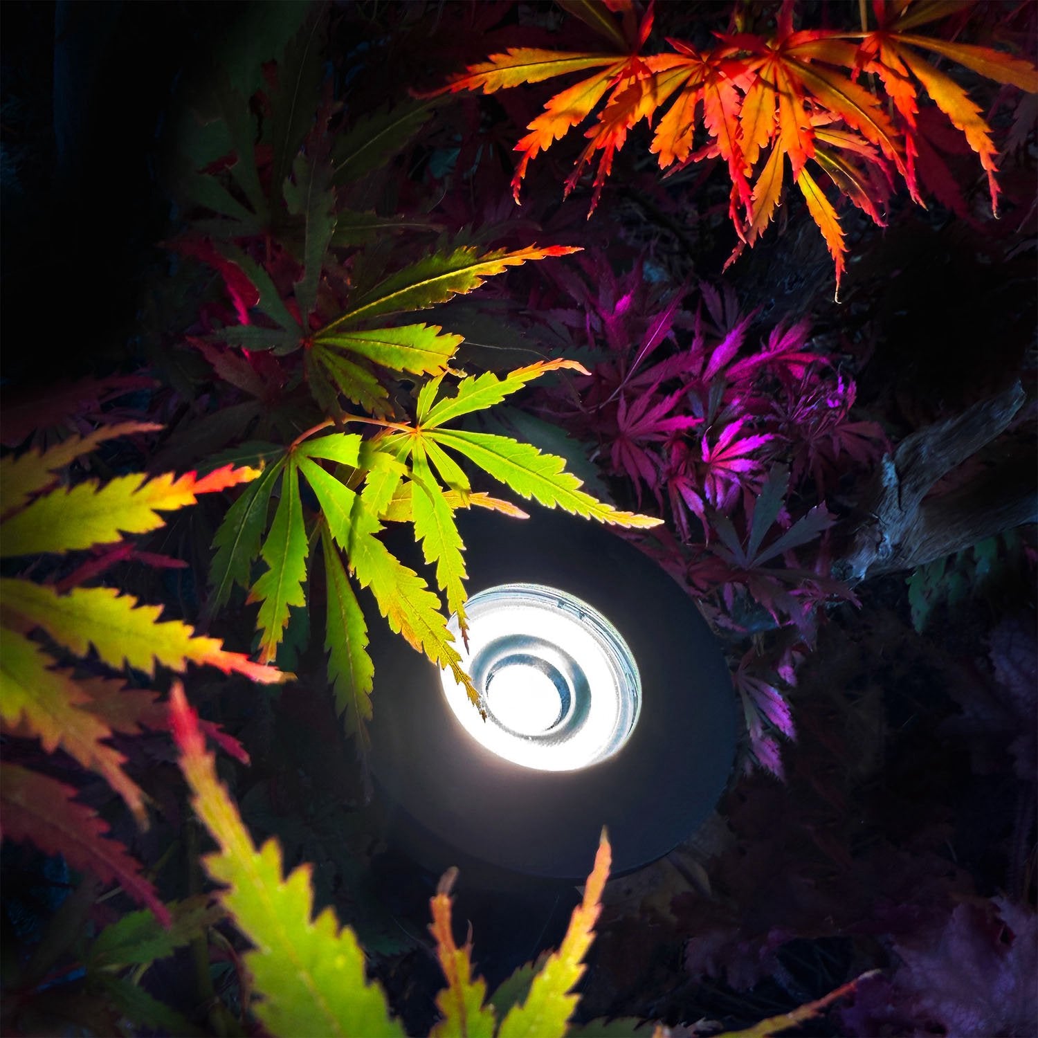 Garden Spotlight, 12V 5W LED, 300 lm, Gray