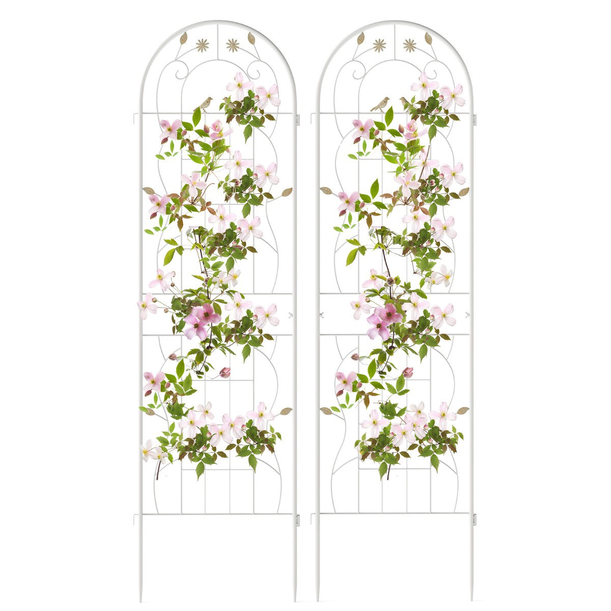 Garden Trellis Set, 2 Pack Galvanized Metal 180 x 50 cm White