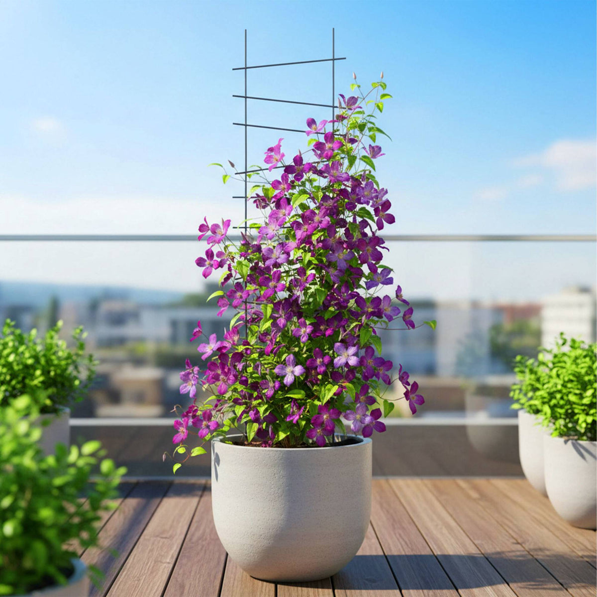 Garden Trellis Set, 8 Metal Supports for Climbing Plants