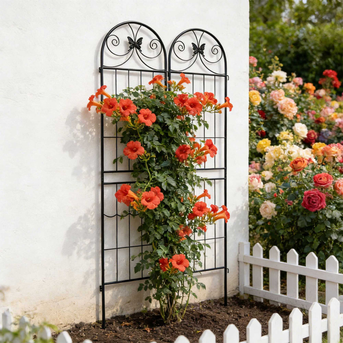 Garden Trellis Set of 4, Powder-Coated Metal Climber