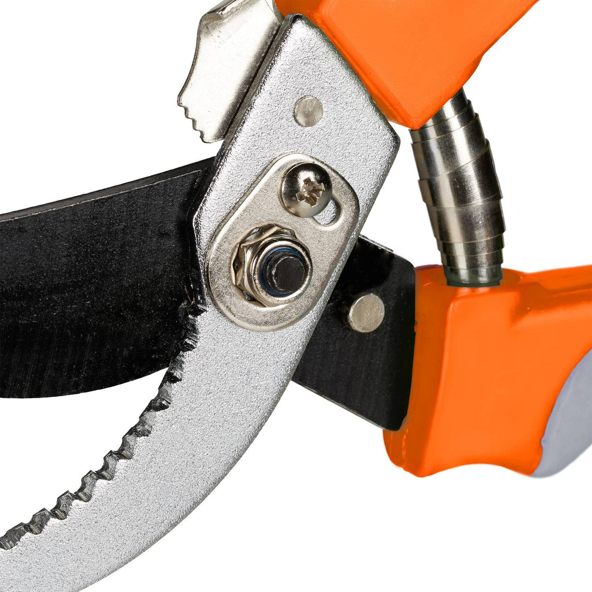 Garden shears Bypass in grey-orange