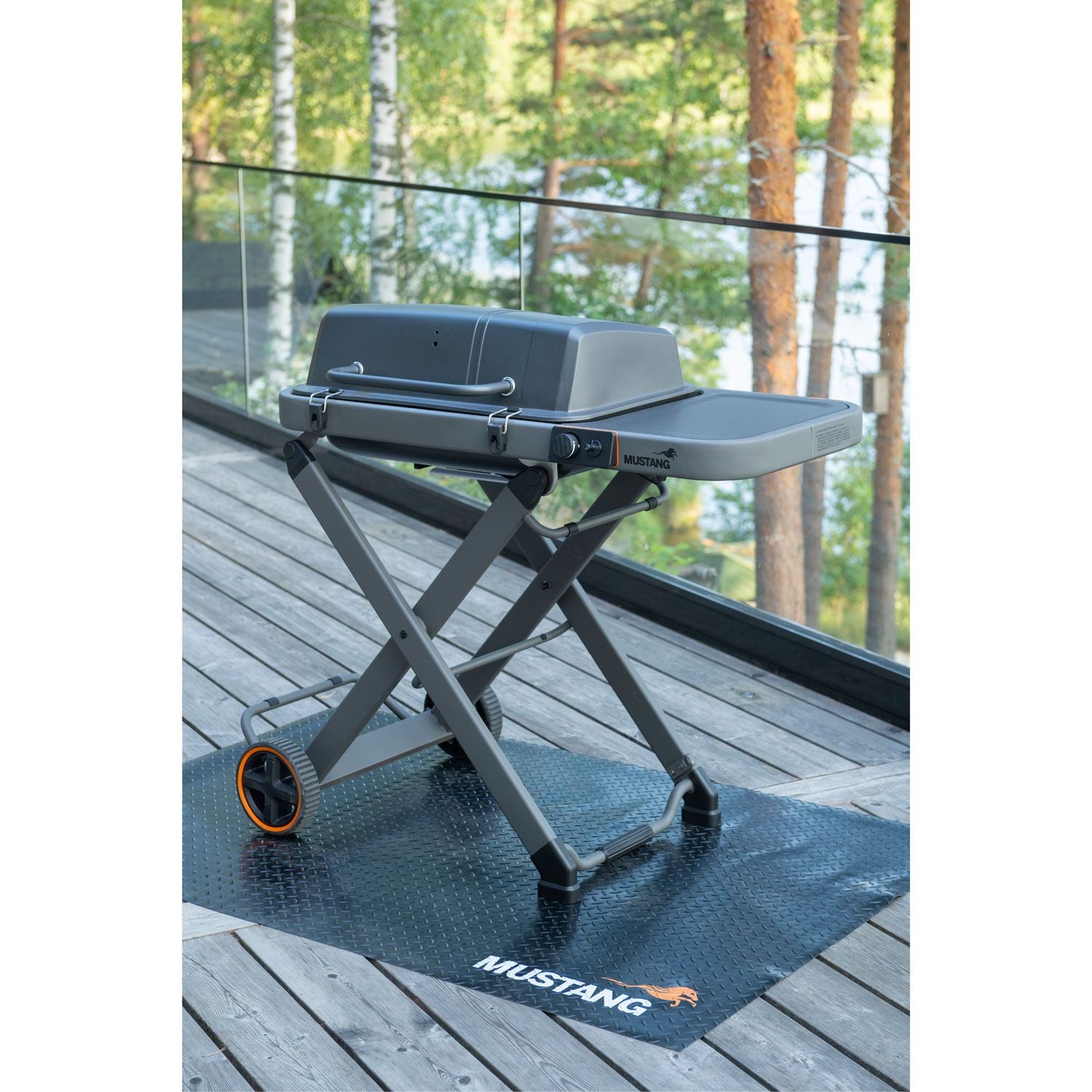 Gas grill Fold