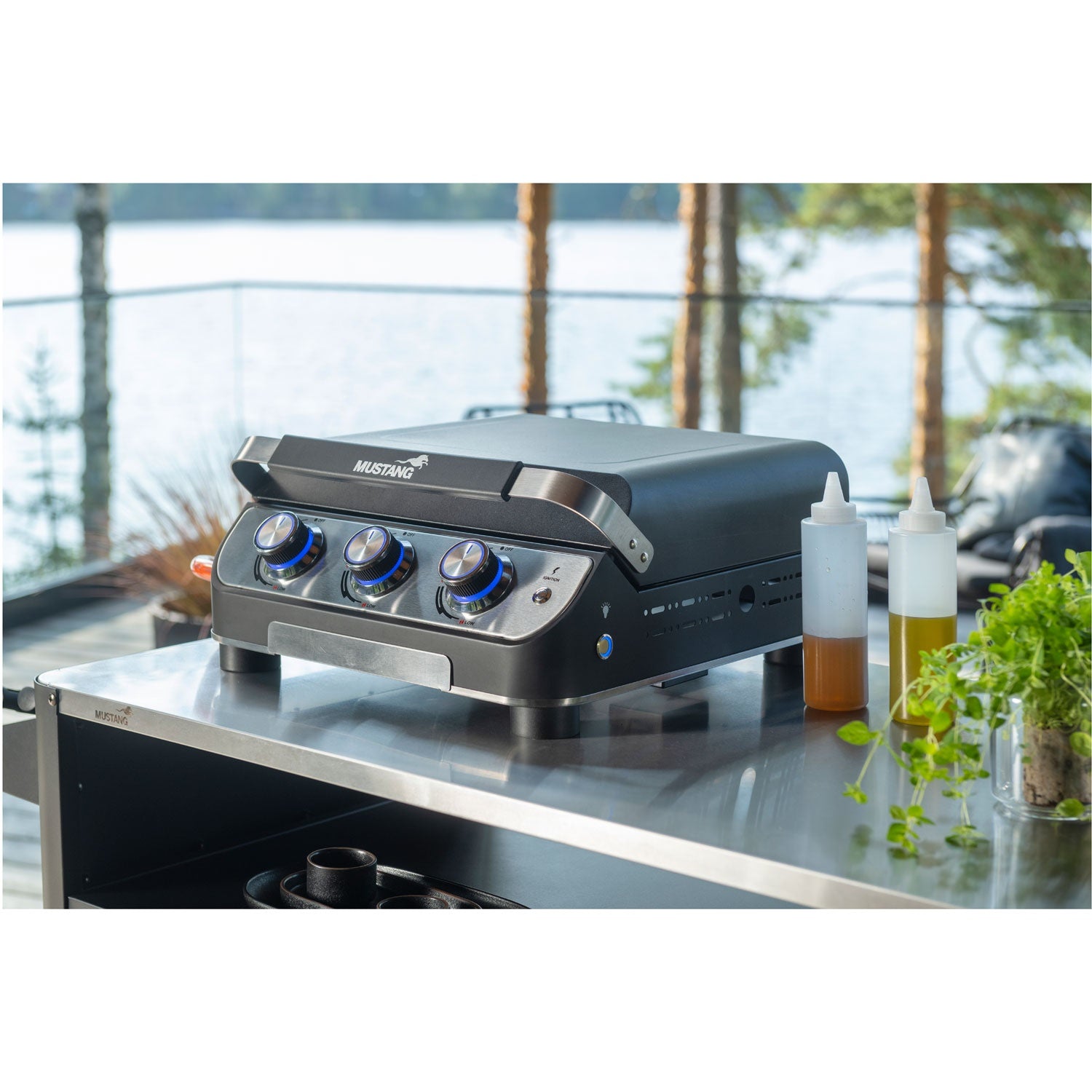Gas grill Plate 3