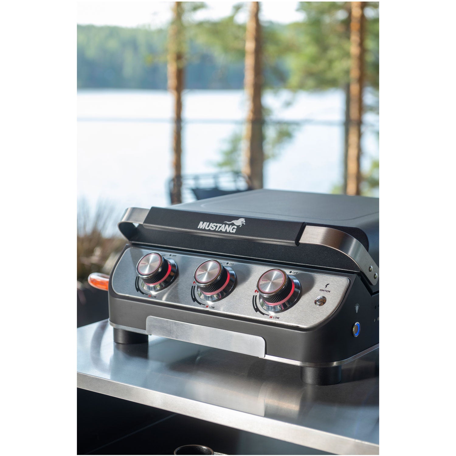 Gas grill Plate 3